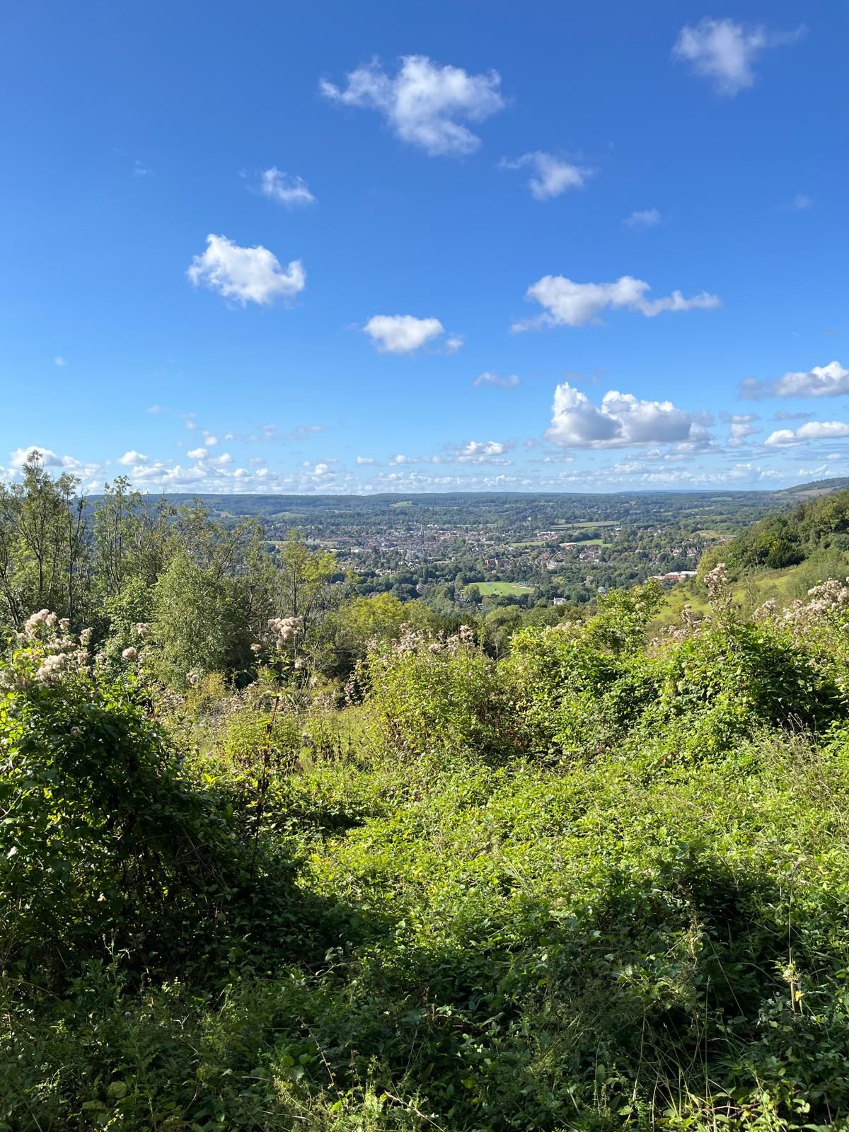 View from Juniper Top Box Hill towards Dorking